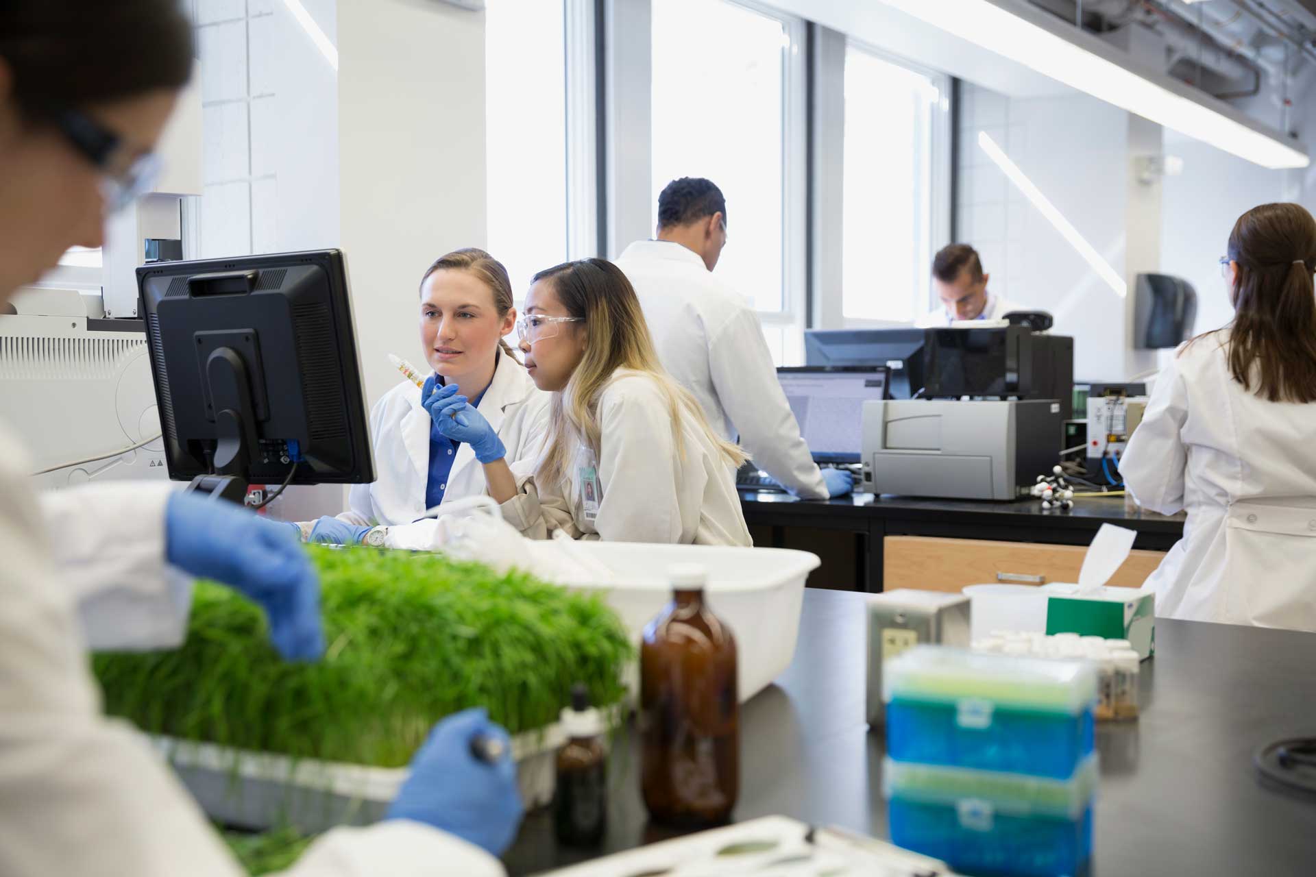 People working in lab