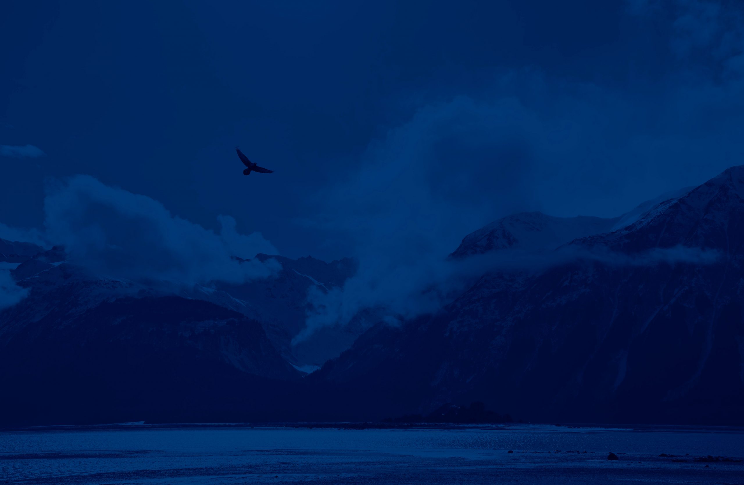 Eagle flying over mountains