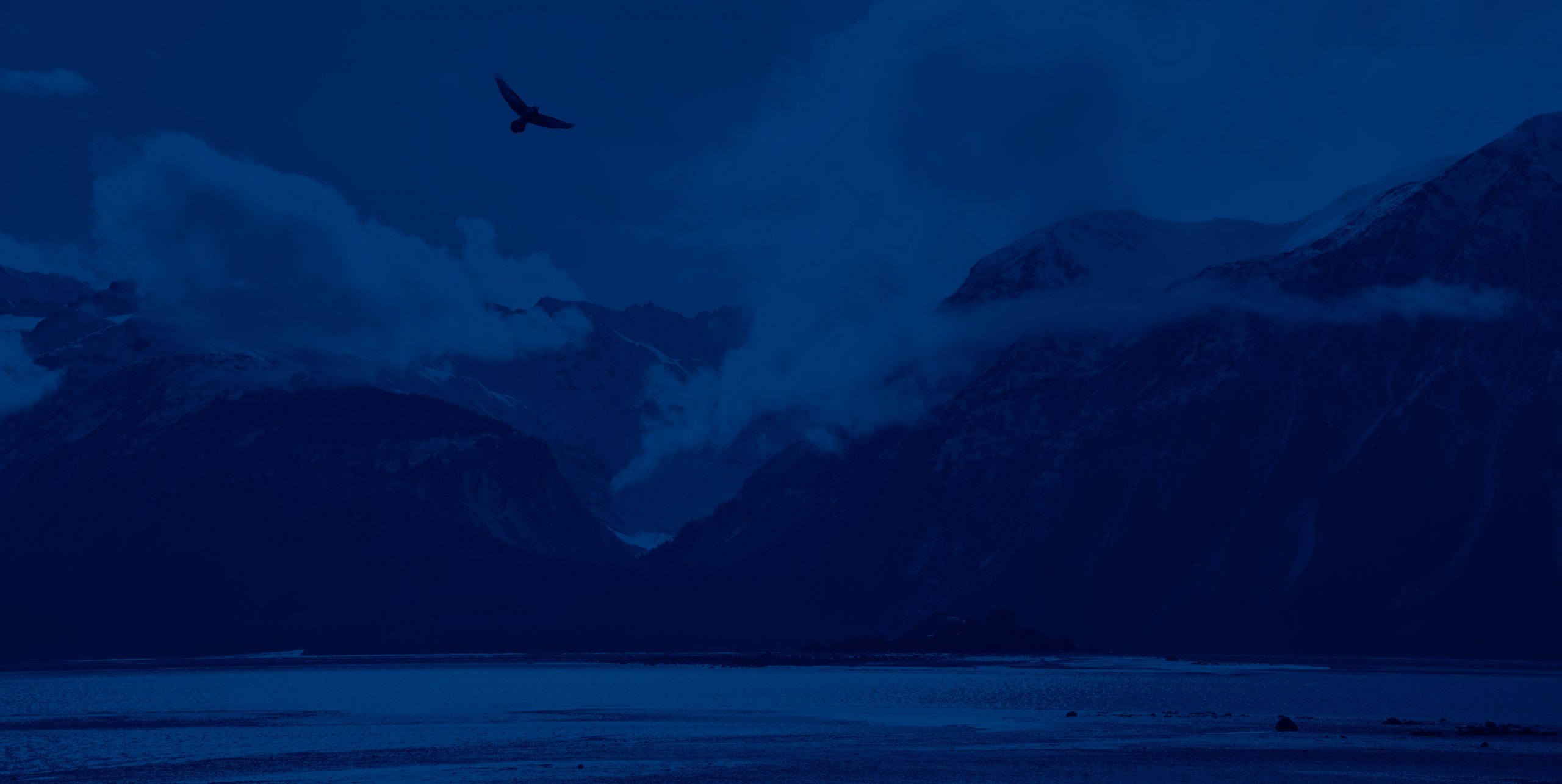 Eagle flying over mountains