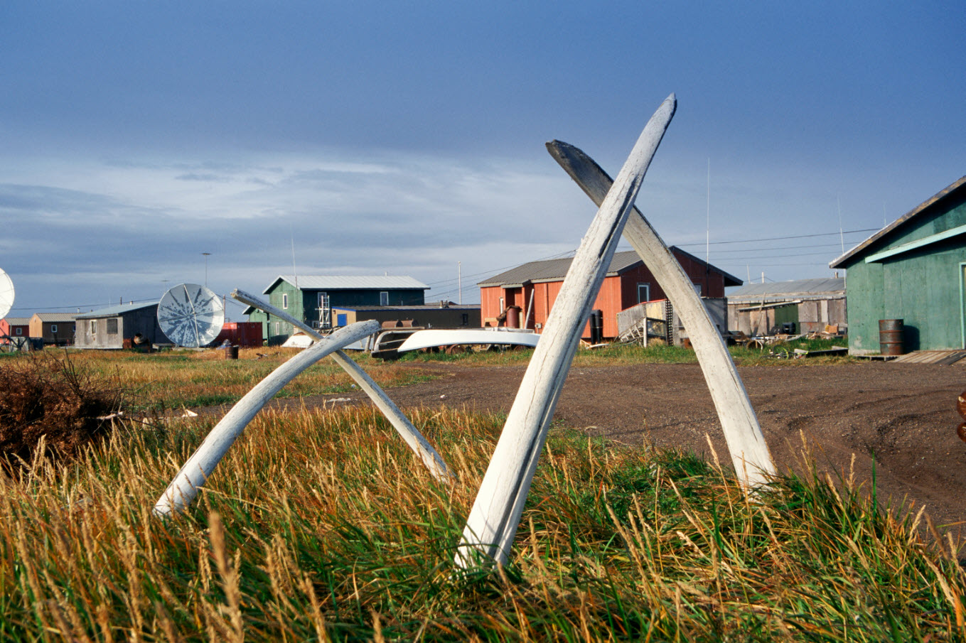 whalebones in front of village