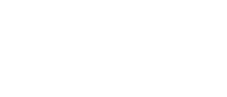 Akima Systems Engineering logo