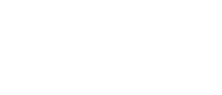 SAVA logo