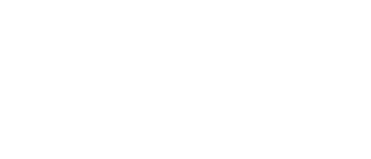 Suvi logo