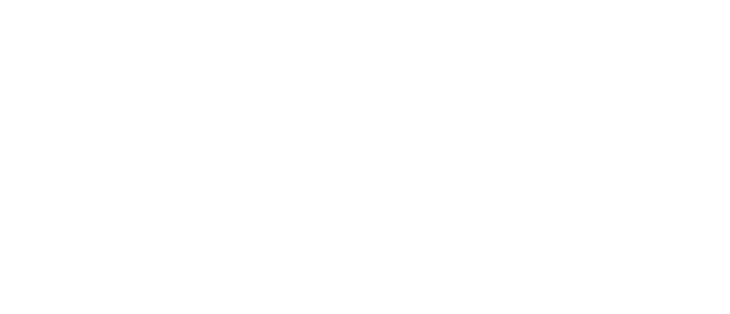 Truestone logo