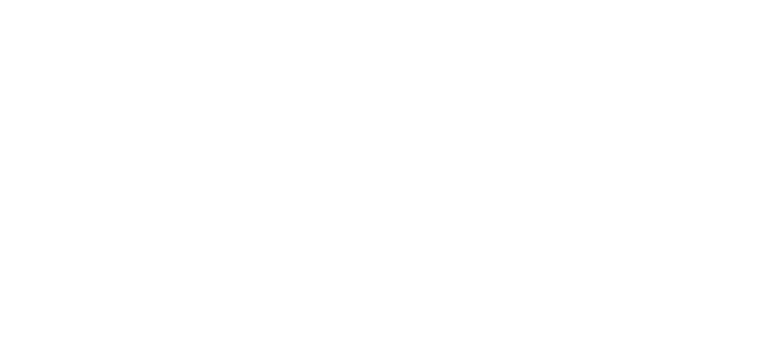 SAVA logo