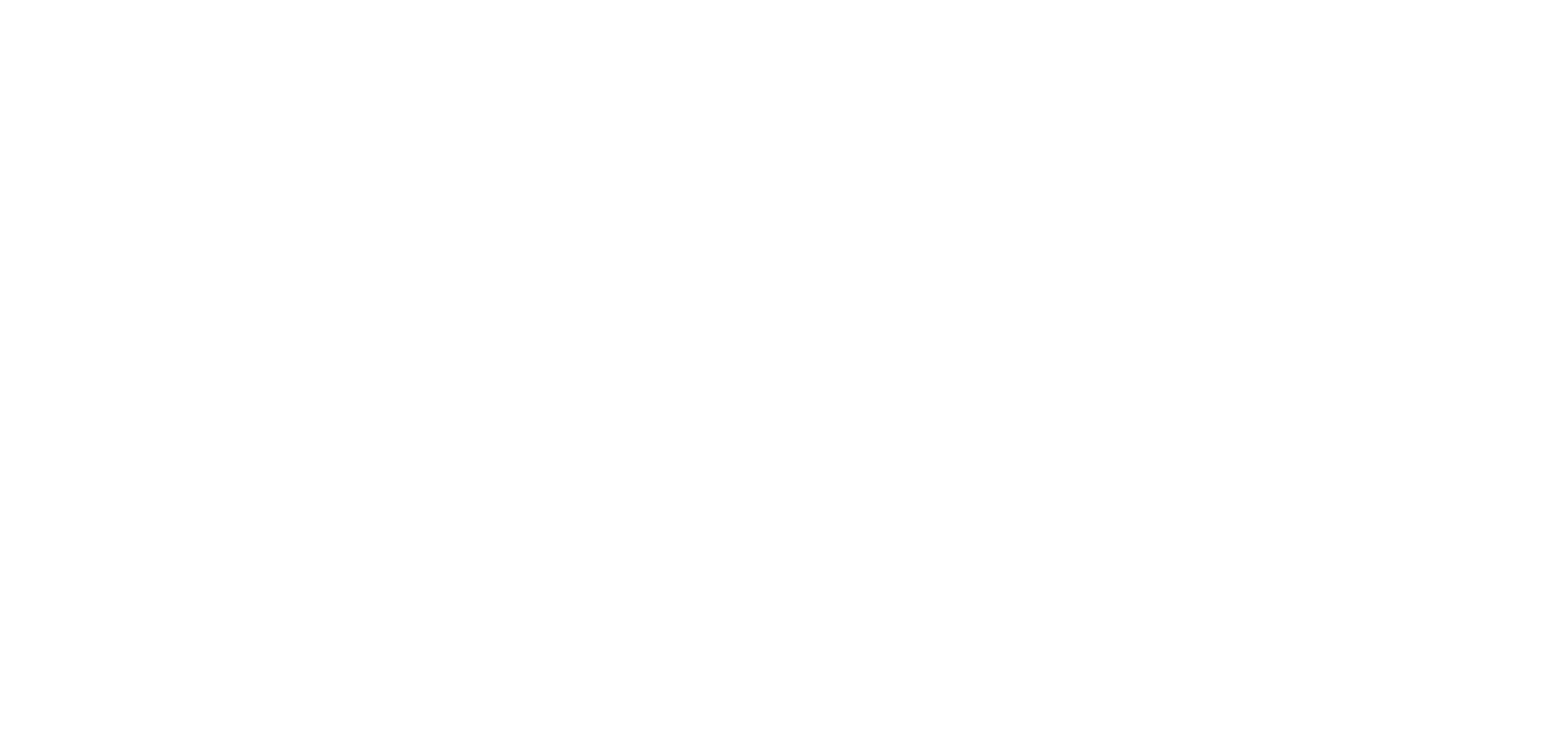 Suvi logo