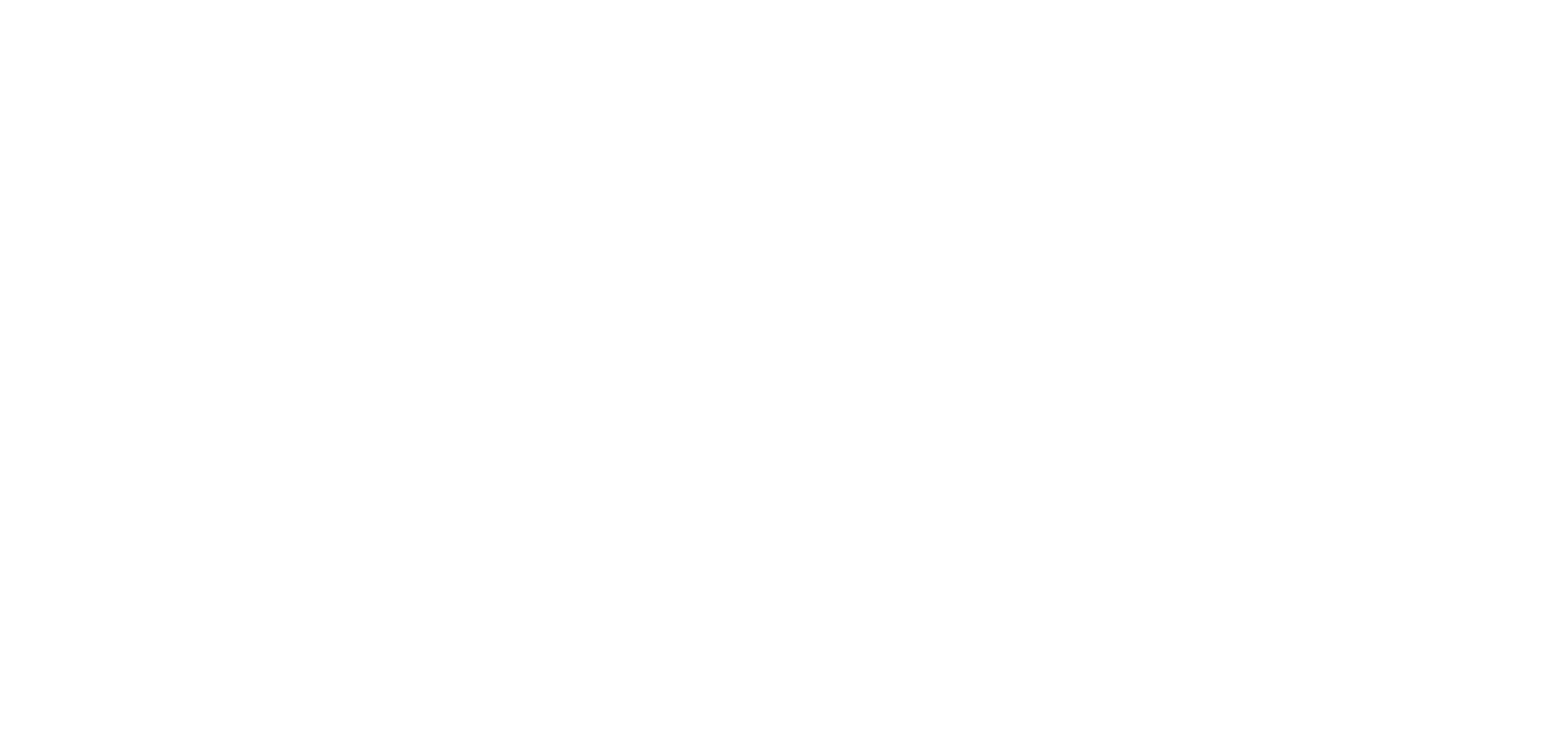 Truestone logo