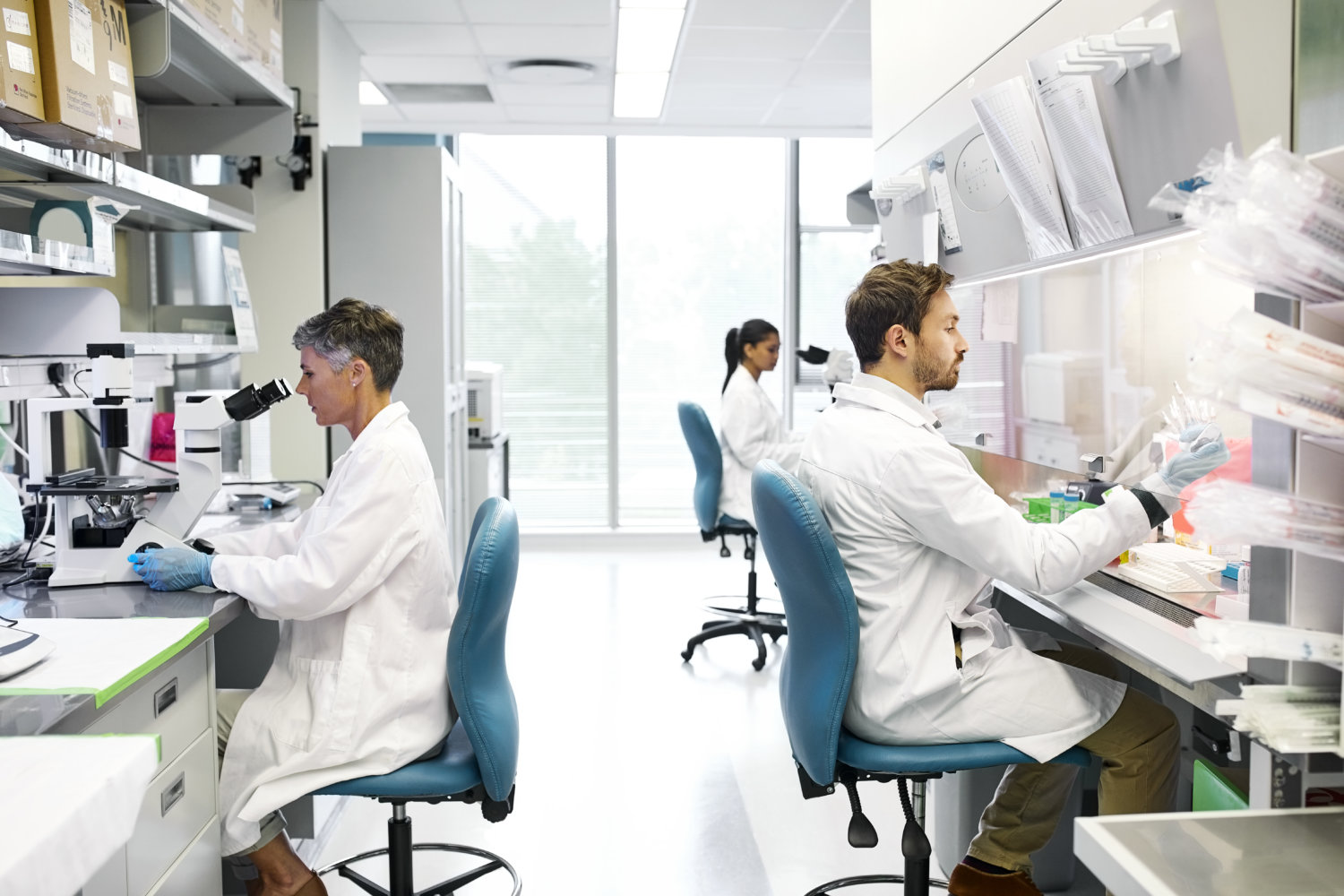 Male and female scientists working in laboratory