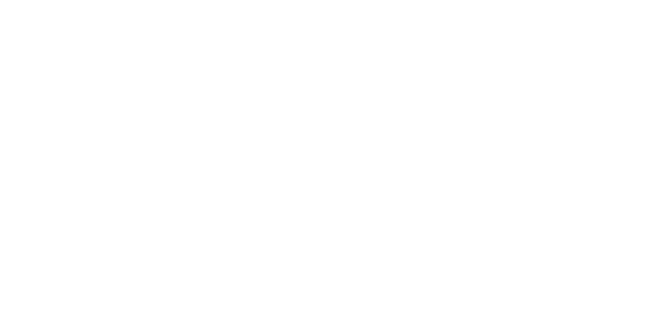 Suvi Logo